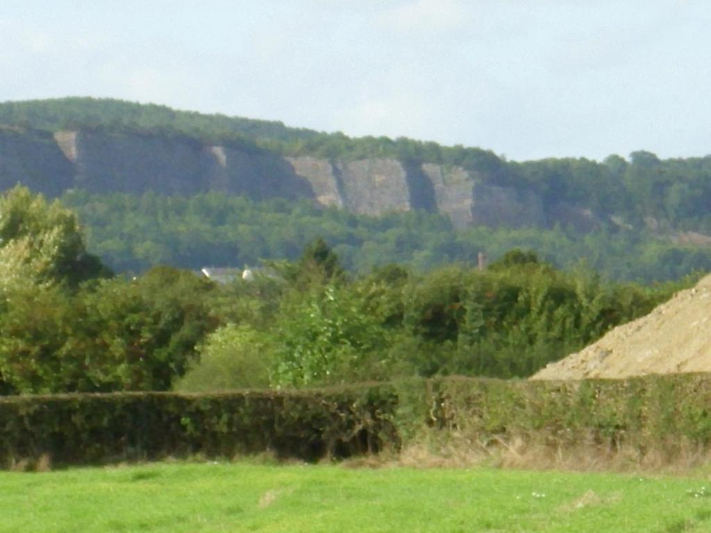 Ty Llew Hotel Llandysilio Phòng bức ảnh